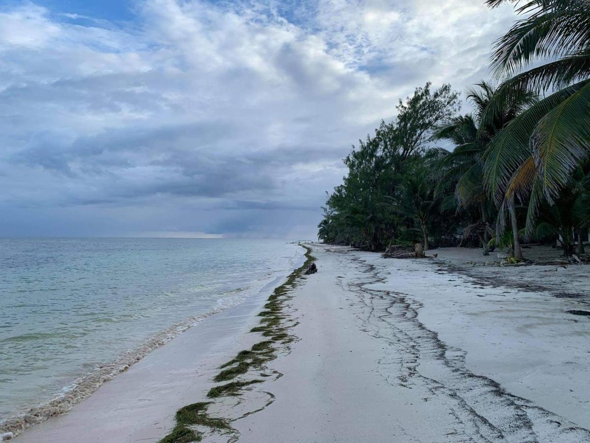 Chez Gigi - Eco Lodge Mahahual Kültér fotó