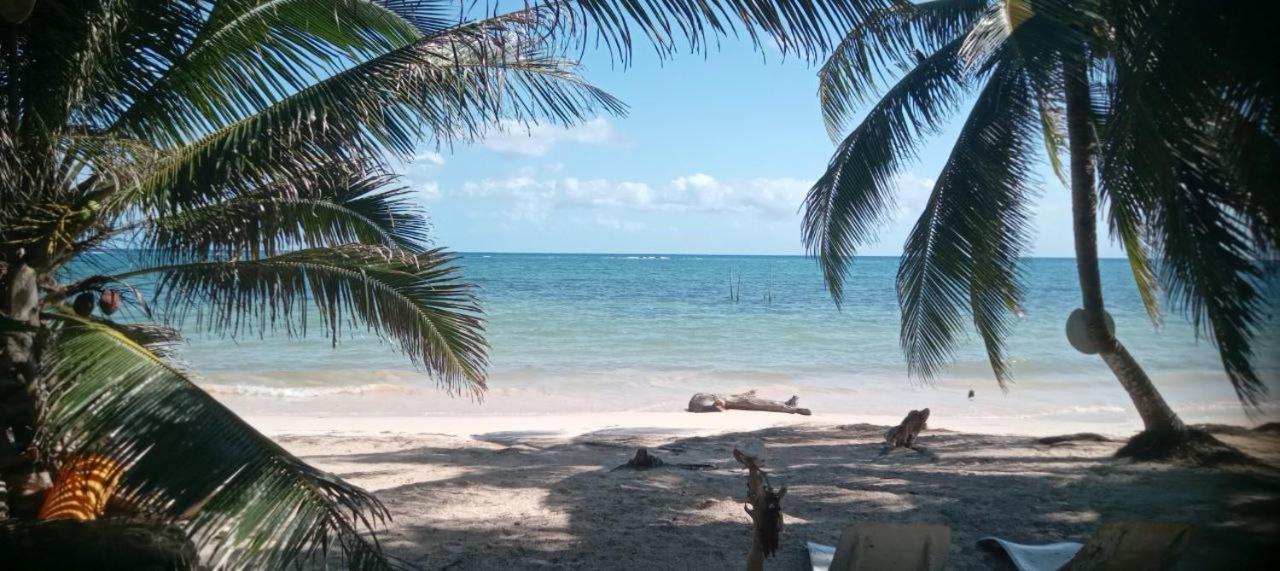 Chez Gigi - Eco Lodge Mahahual Kültér fotó
