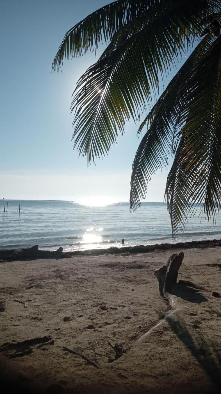 Chez Gigi - Eco Lodge Mahahual Kültér fotó