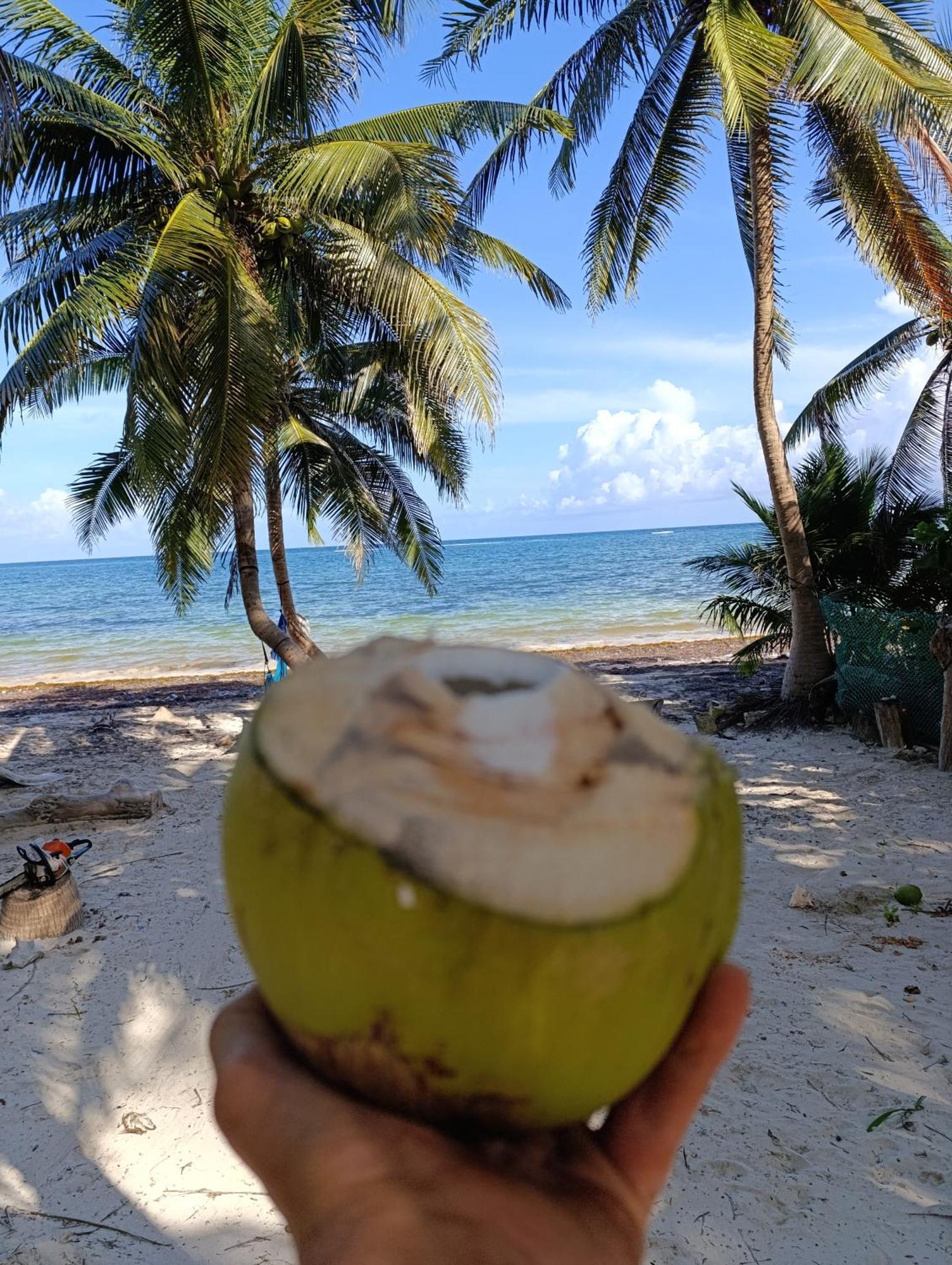 Chez Gigi - Eco Lodge Mahahual Kültér fotó