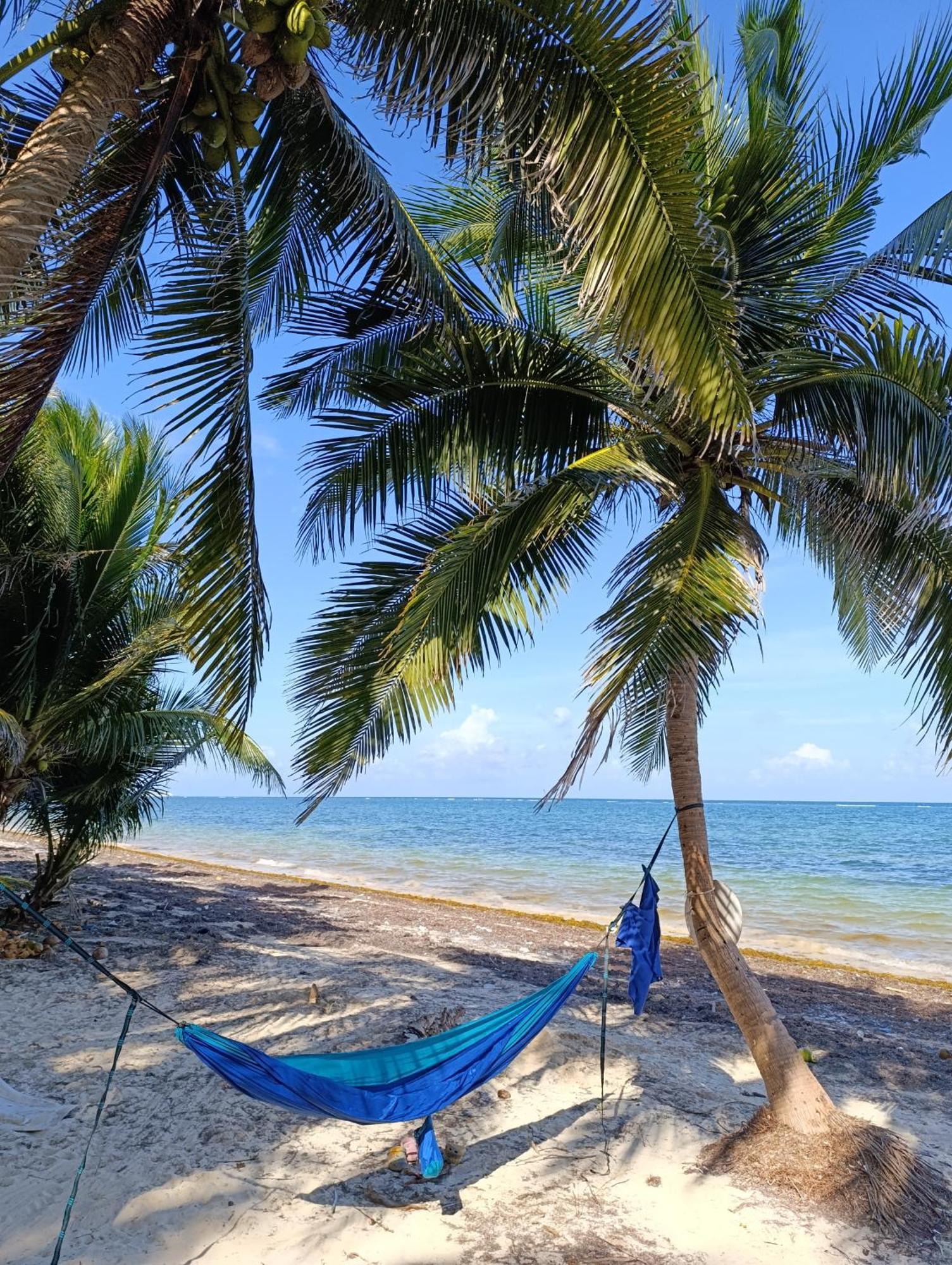 Chez Gigi - Eco Lodge Mahahual Kültér fotó