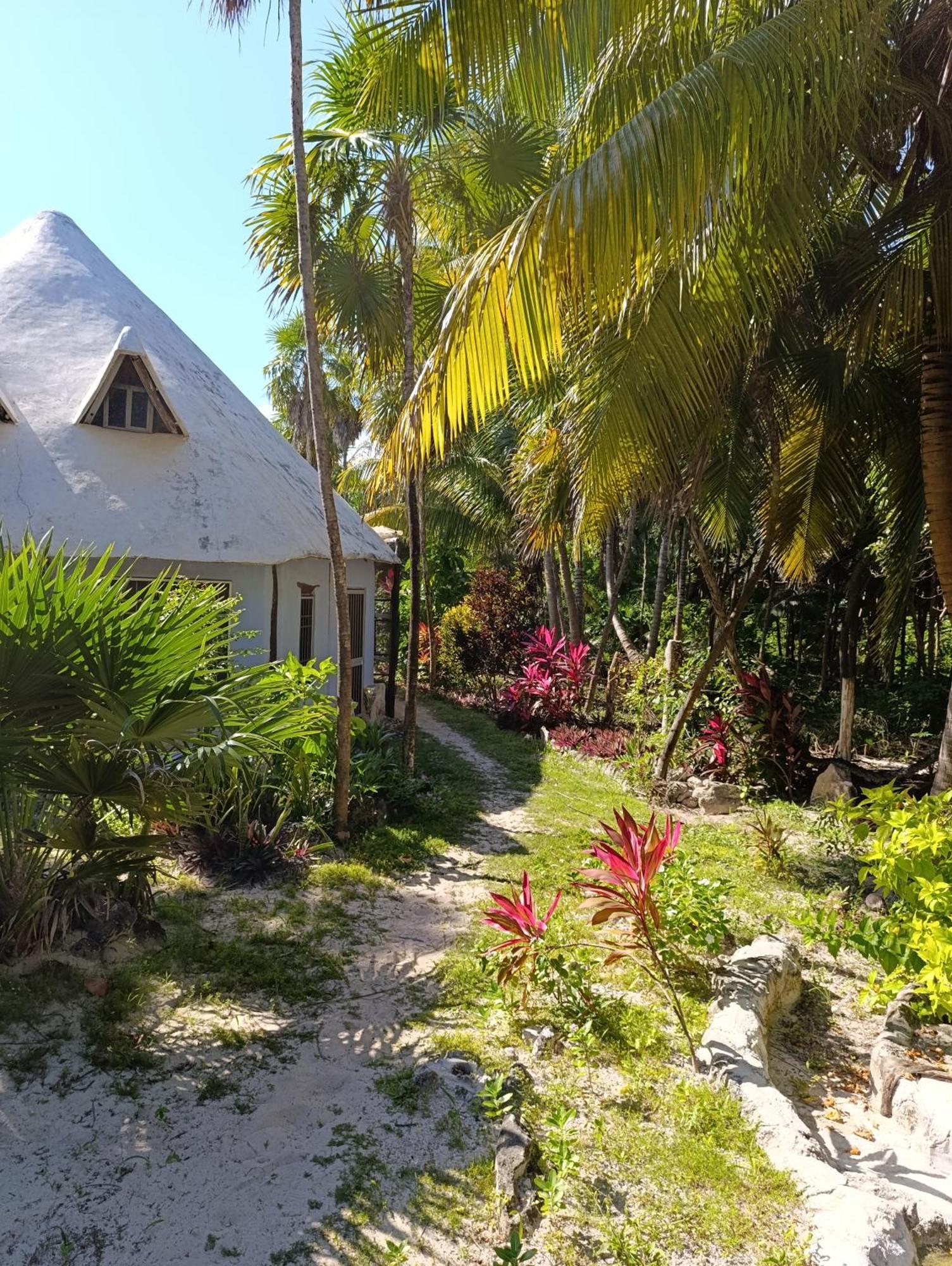 Chez Gigi - Eco Lodge Mahahual Kültér fotó