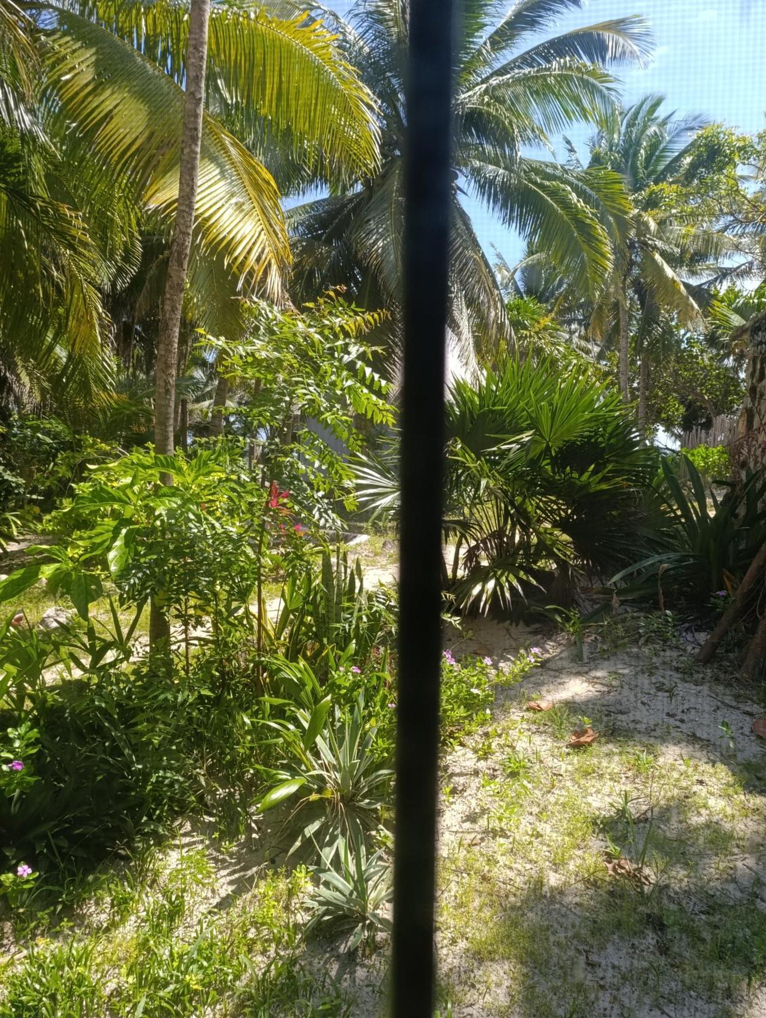 Chez Gigi - Eco Lodge Mahahual Kültér fotó