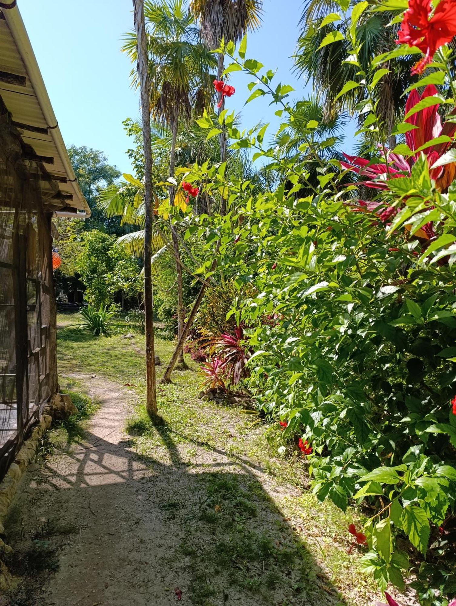 Chez Gigi - Eco Lodge Mahahual Kültér fotó